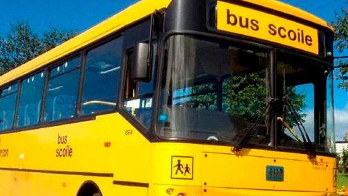 county-wexford-sees-increase-in-school-bus-tickets-issued-for-academic
